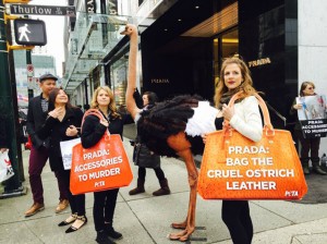 Protesta de PETA contra la pieles de avestruz