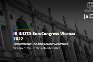 Programa del III EuroCongreso de Iultcs